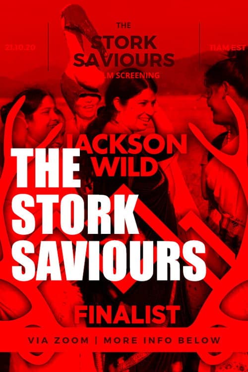 The Stork Saviours poster