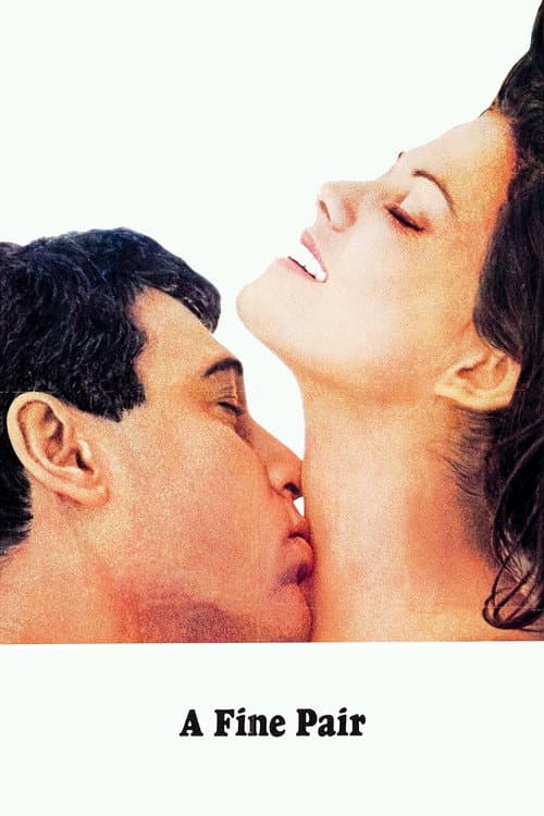 A Fine Pair (1968) poster
