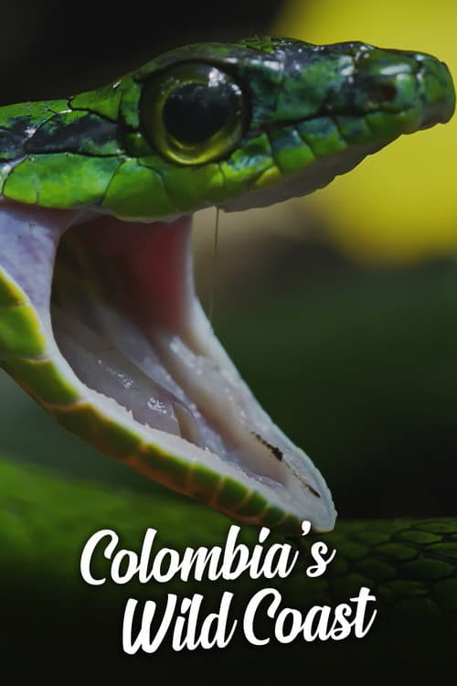 Colombia's Wild Coast (2018) poster