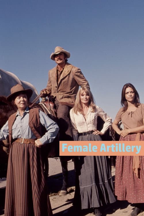 Female Artillery (1973) poster