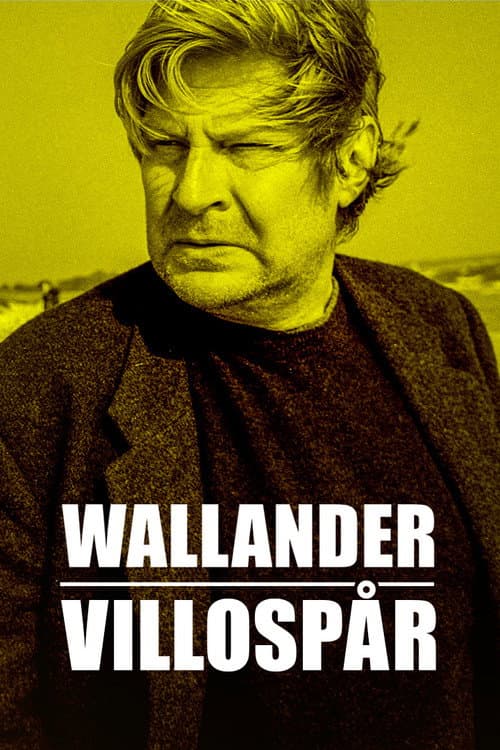 Wallander: Sidetracked (2001) poster
