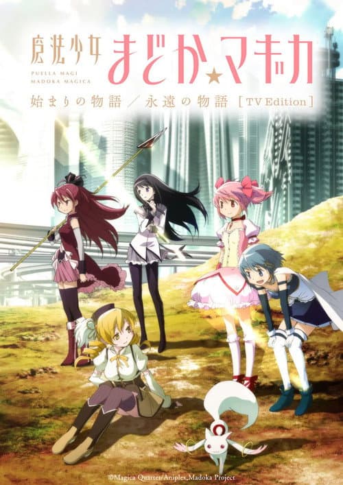 魔法少女まどか☆マギカ 始まりの物語／永遠の物語 TV Edition (2025) poster