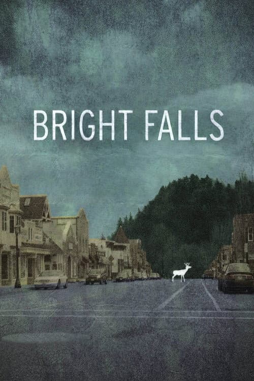 Bright Falls (2010) poster