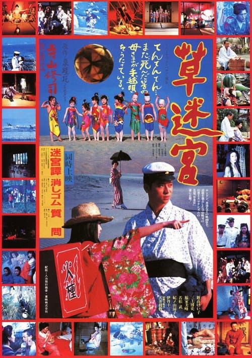 Grass Labyrinth (1979) poster