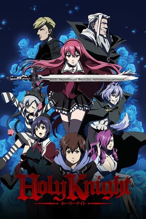 Holy Knight (2012) poster