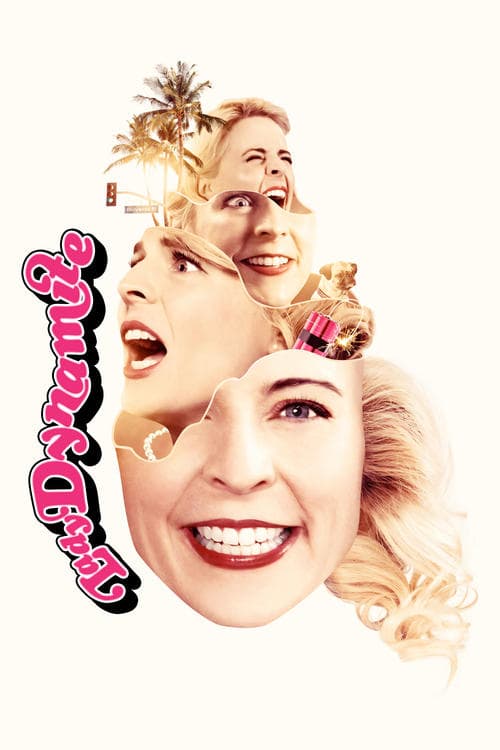Lady Dynamite (2016) poster