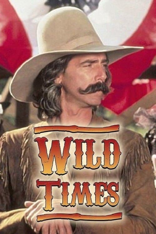 Wild Times (1980) poster