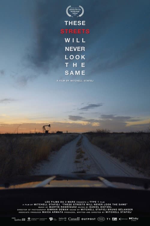 These Streets Will Never Look the Same poster