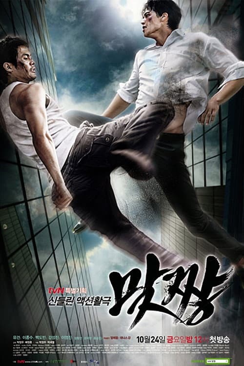 Fight (2008) poster