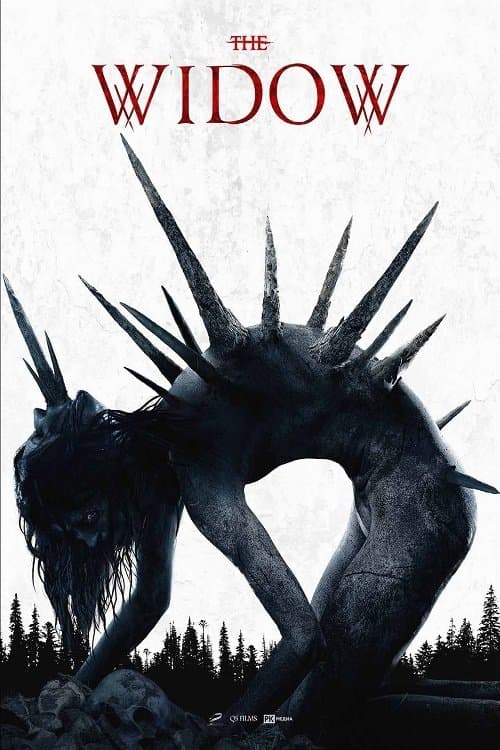 The Widow (2020) poster