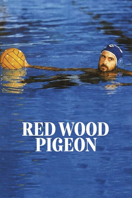 Palombella rossa (1989) poster