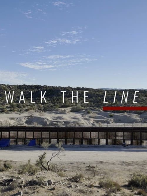 Walk The Line poster