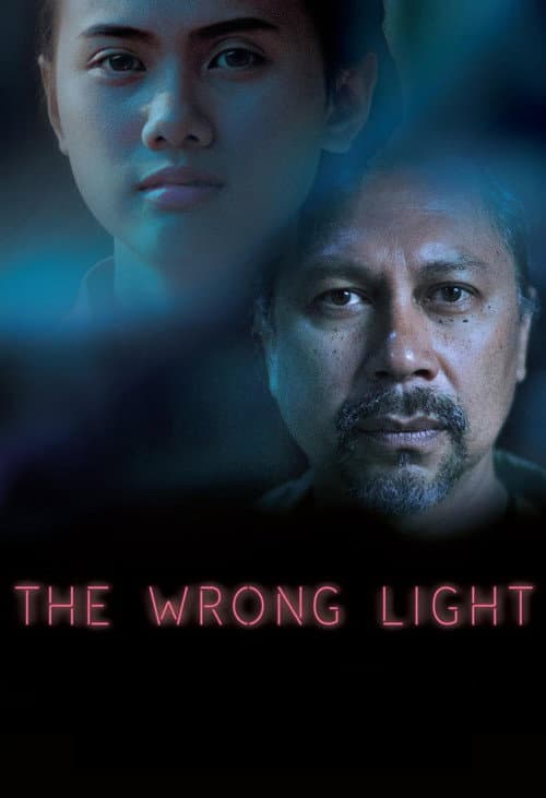 The Wrong Light poster