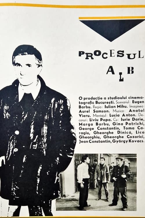 White Trial poster
