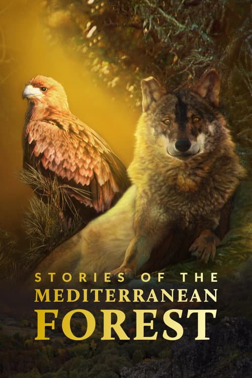 Stories of the Mediterranean Forest (2018) poster