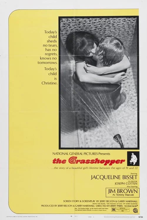 The Grasshopper poster