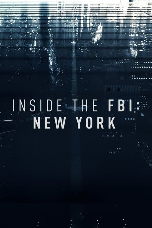 Inside the FBI: New York (2017) poster