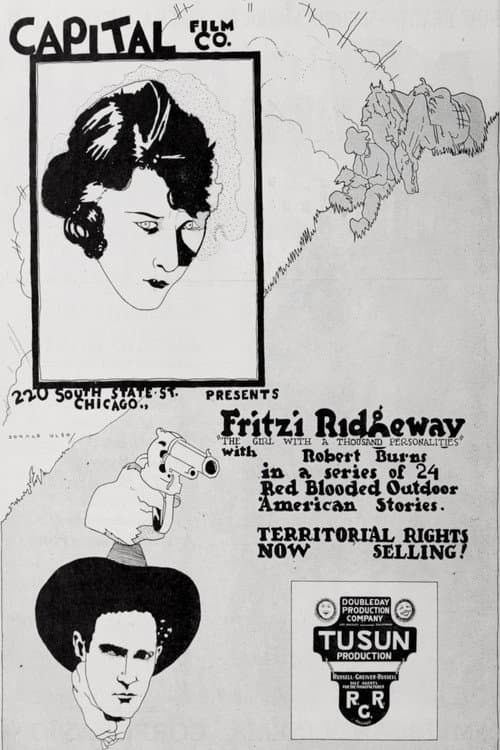 A Woman's Vengeance (1920) poster