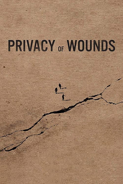 Privacy of Wounds (2018) poster