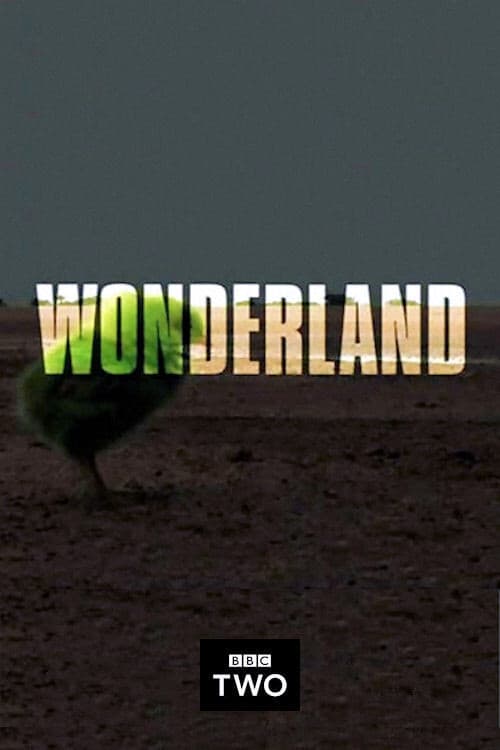 Wonderland (2008) poster