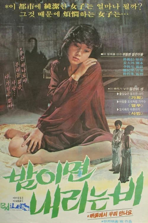 The Rain at Night poster
