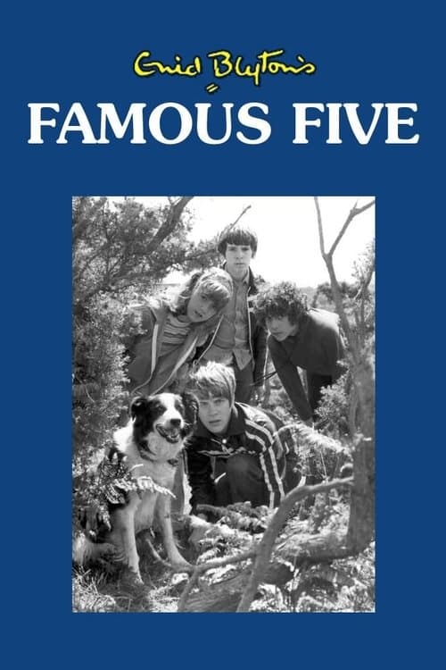 The Famous Five (1978) poster