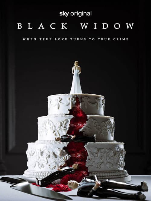 Black Widow (2024) poster