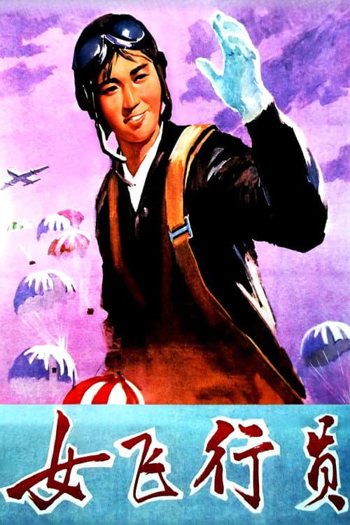 Female Pilot (1966) poster