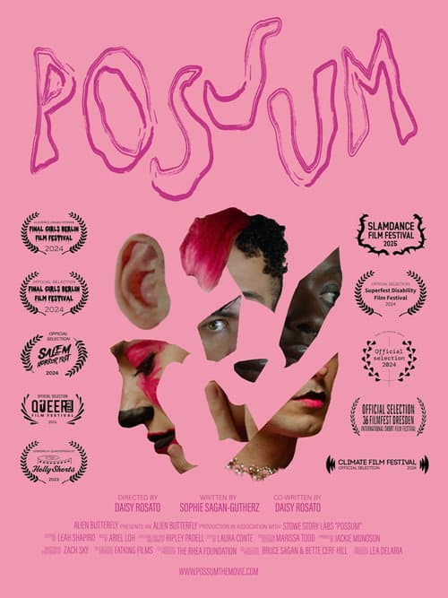 POSSUM poster
