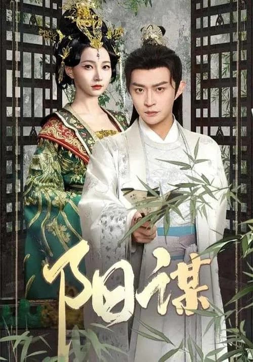 阳谋 poster