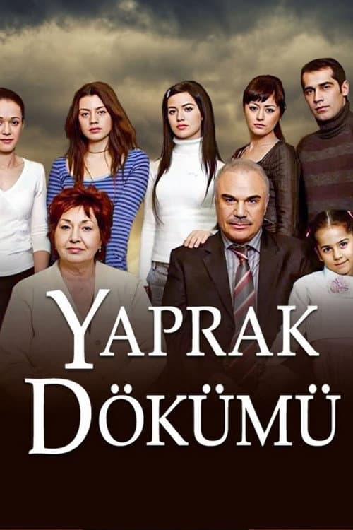 Falling Leaves (2006) poster