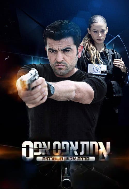 Downtown Precinct (2011) poster