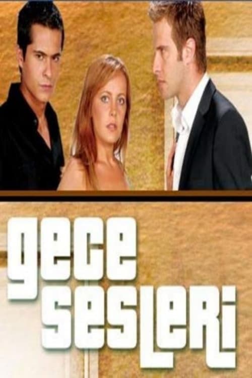 Gece Sesleri (2008) poster