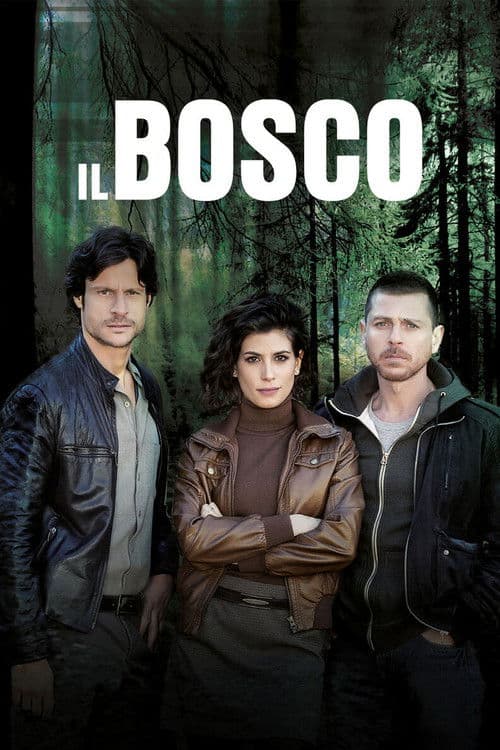 Il Bosco (2015) poster