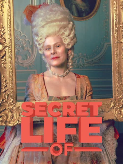 The Secret Life of... (2012) poster