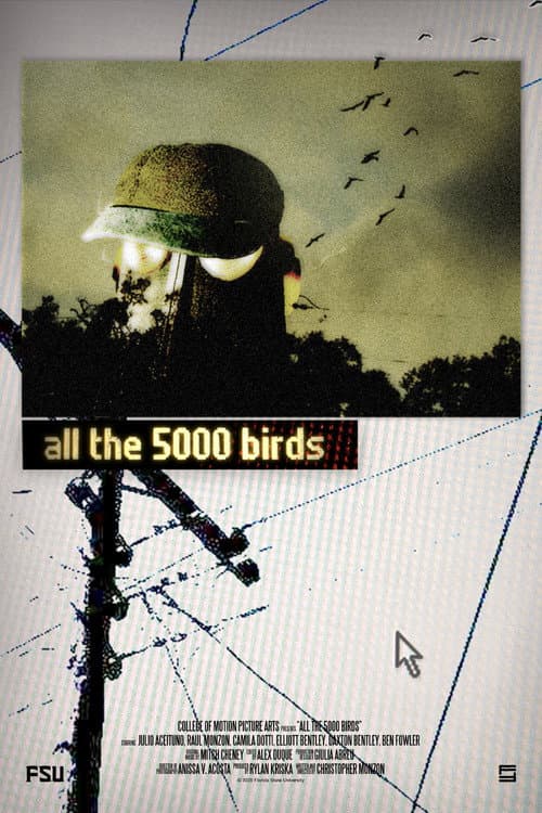 all the 5000 birds poster