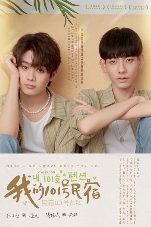 Love in B&B poster