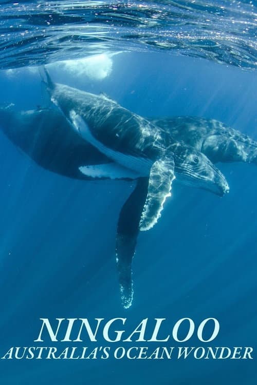 Ningaloo Nyinggulu (2023) poster