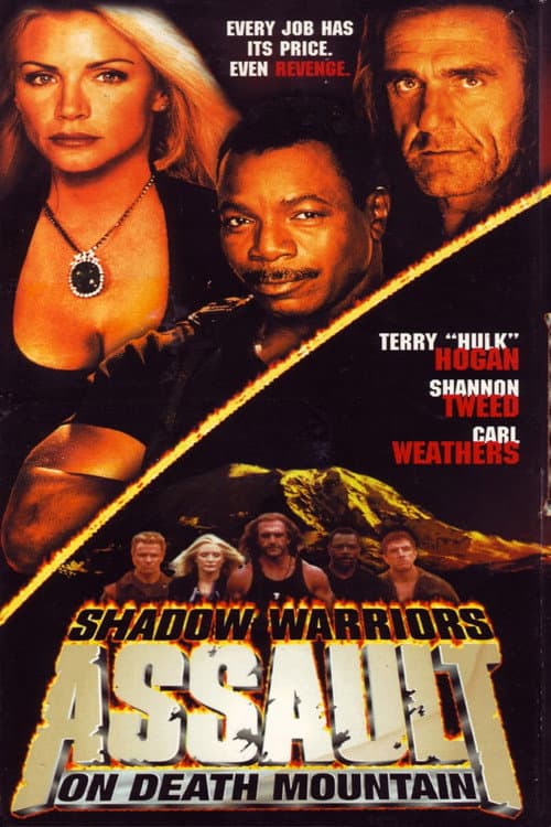 Assault on Death Mountain (1999) poster