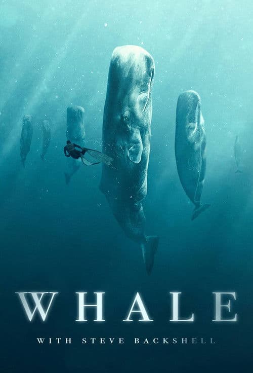 Whale with Steve Backshall (2023) poster