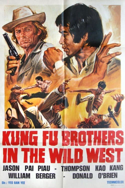Kung Fu Brothers in the Wild West (1973) poster