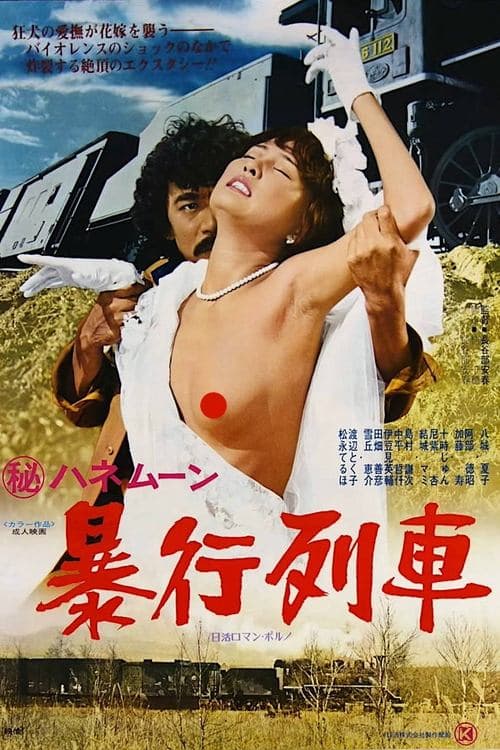 Secret Honeymoon: Assault Train (1977) poster