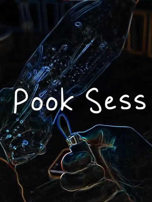 Pook Sess (2021) poster