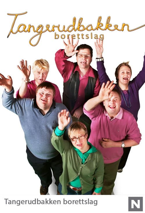 Tangerudbakken borettslag (2011) poster