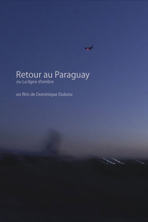 Paraguay Remembered (2017) poster