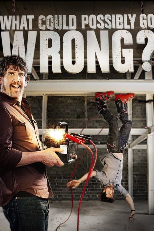 What Could Possibly Go Wrong? (2015) poster