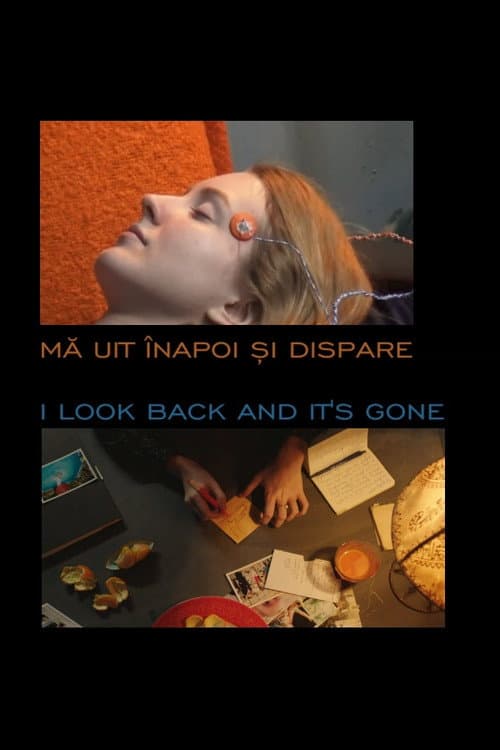 I Look Back and It's Gone (2020) poster