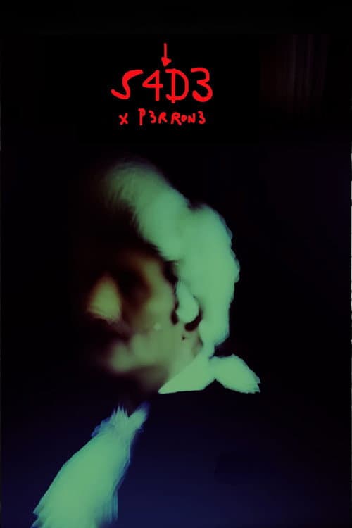 S4D3 (2021) poster