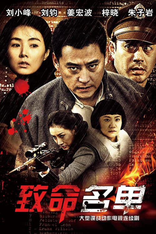 致命名单 (2013) poster