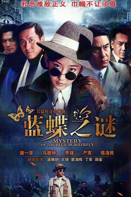 Mystery of the Blue Butterfly (2013) poster